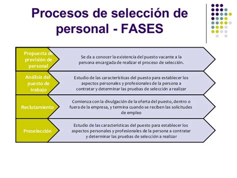 BASES DEL PROCESO DE SELECCIÓN PARA LA。